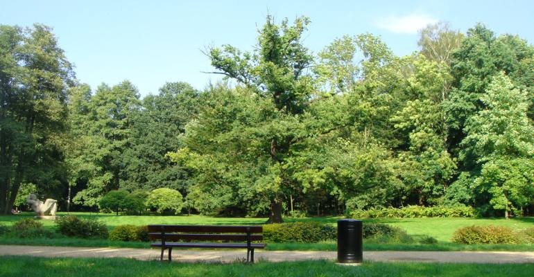 Tree-filled park